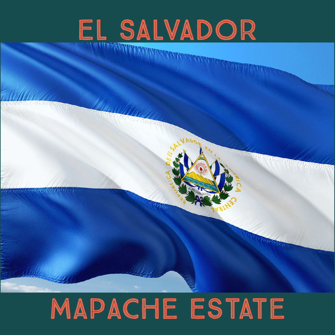 El Salvador Mapache Estate