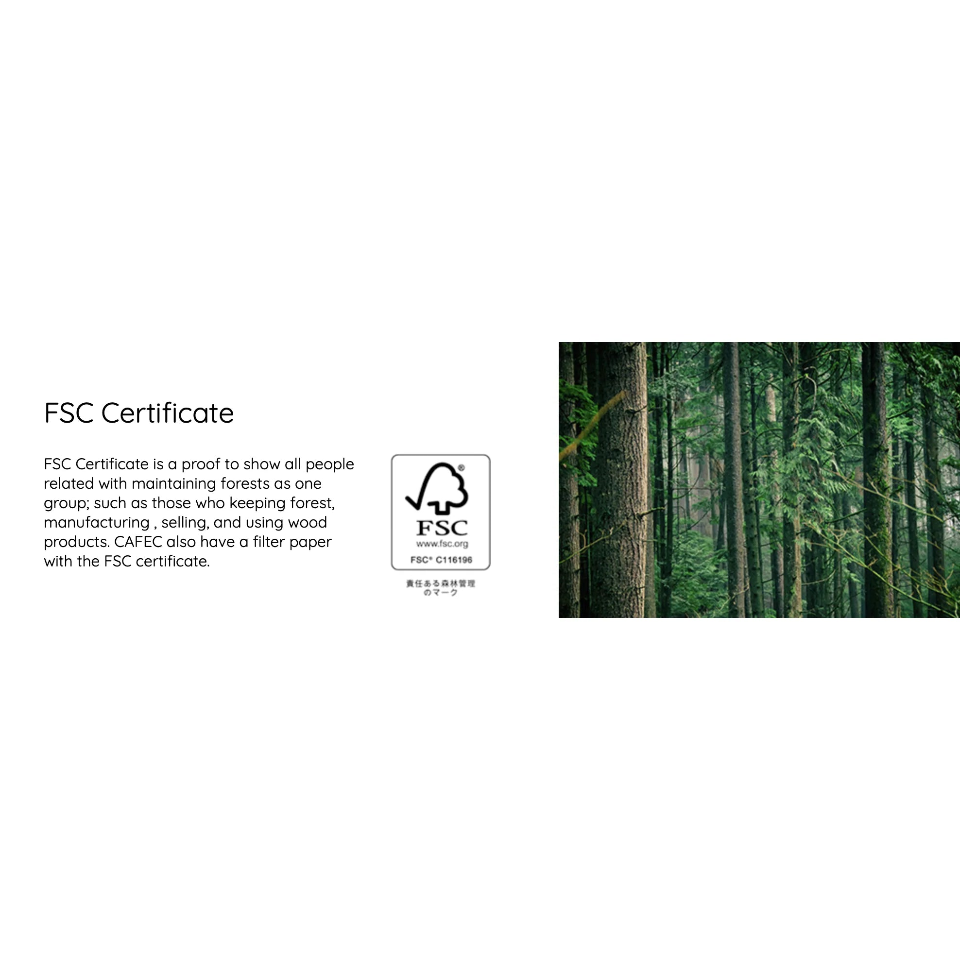4 Cup Light Roast Paper Filter | LC4-100W